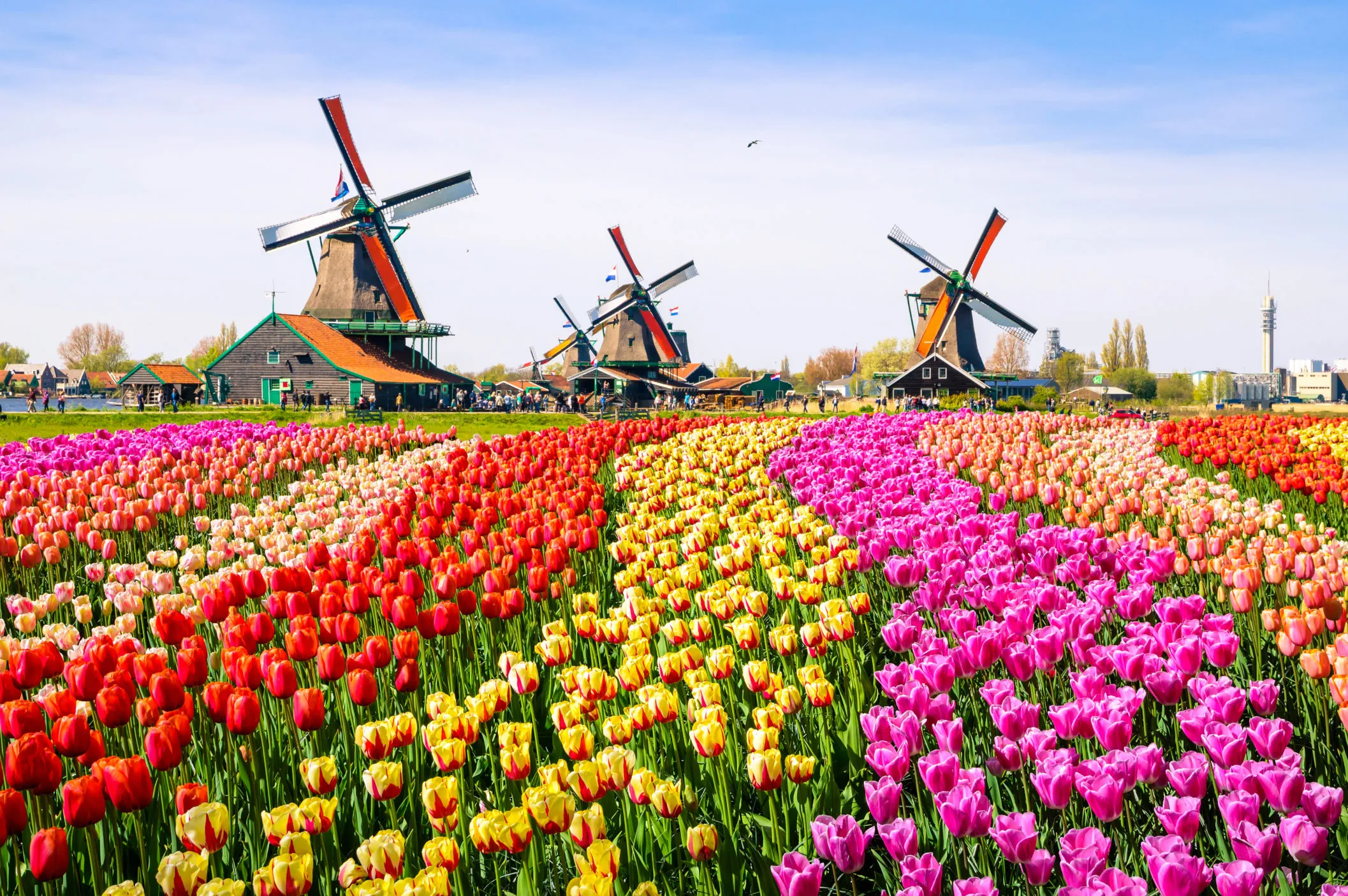Buy Netherlands eSIM