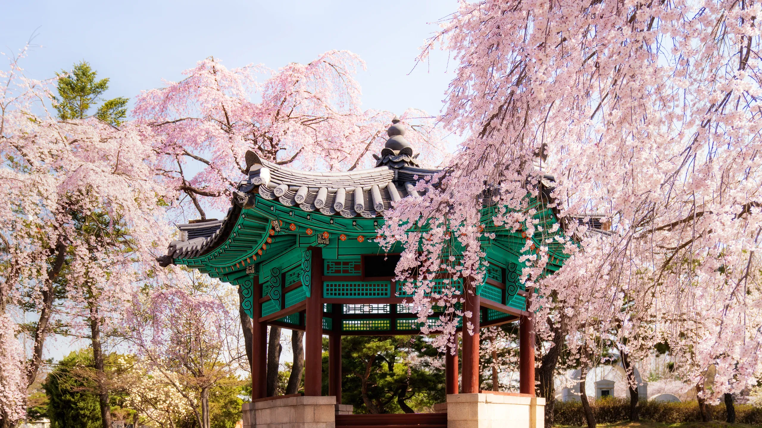 South Korea eSIM