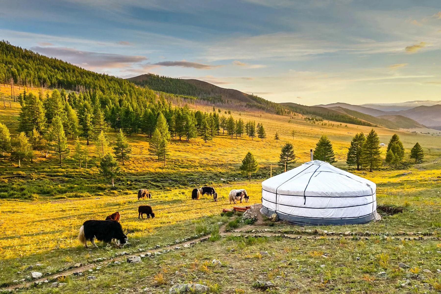 Buy Mongolia eSIM